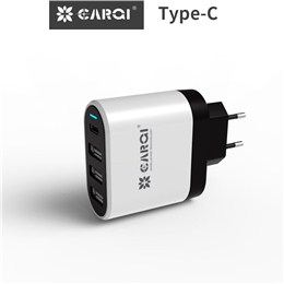 type-c私模手机充电器AC45L04C-EU
