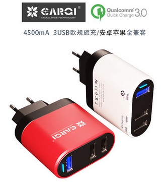 AC45L04Q    欧规手机充电器